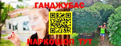ГАЛЛЮЦИНОГЕННЫЕ ГРИБЫ Гагарин