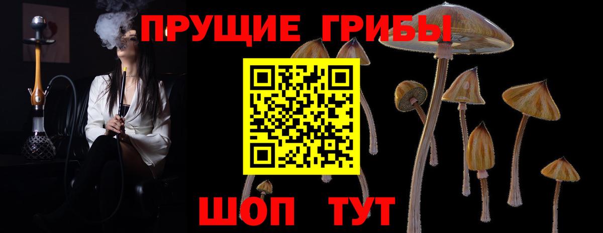 Галлюциногенные грибы мицелий  Вход с VPN  цены наркотик  Комсомольск-на-Амуре 